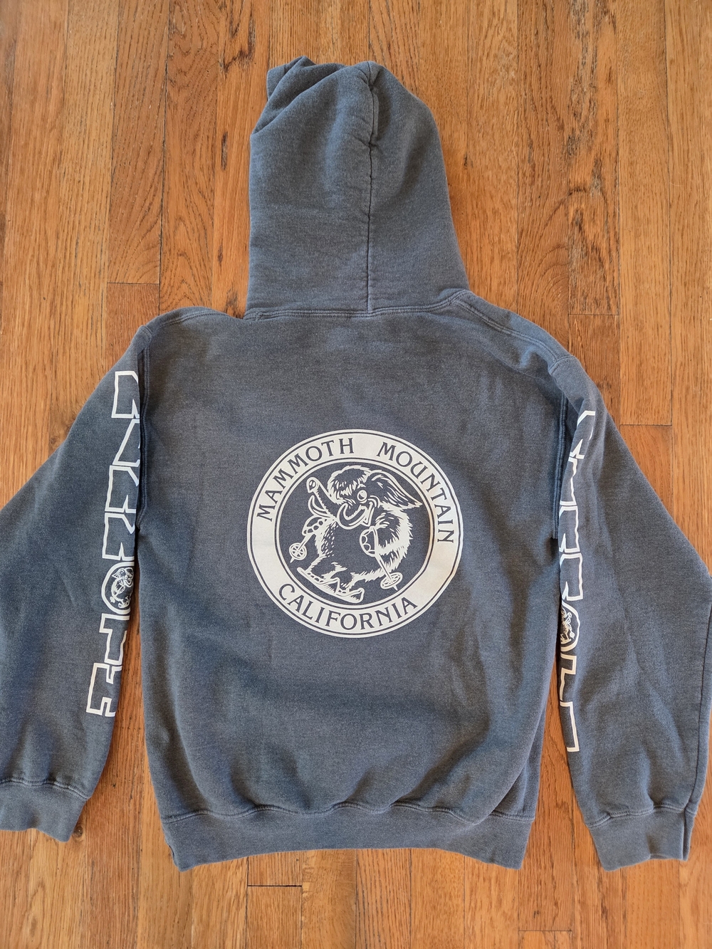 Mammoth Mountain Ski Hoodie Green Gray Size Small